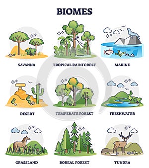 Biomes as biogeographical climate zones division in outline collection set