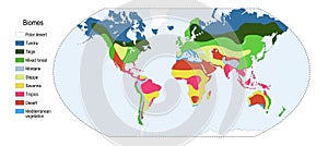 Biomes. world map photo
