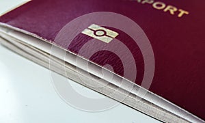 Biometric, e-passport or digital passport symbol