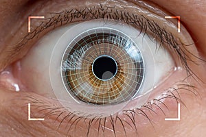 Biometrics, eye scanning and recognition concept.