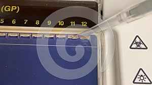 Biomolecular technician loading DNA sample on Agarose gel electrophresis.