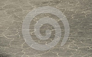 Biomorph shapes, structures and patterns