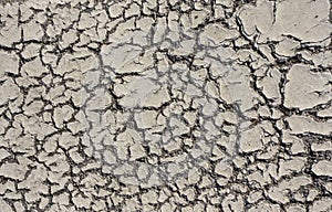 Biomorph shapes, structures and patterns