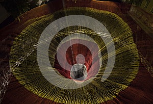 biomorph shapes, structures and patterns