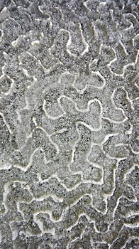 biomorph shapes, structures and patterns