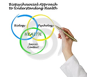 Biopsychosocial Approach to Understanding Health