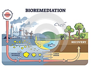 Bioremediation and contaminated soil or water recovery outline diagram