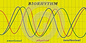 Biorhythm