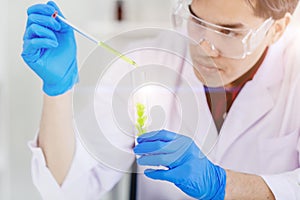 Bioscience Scientist working in medical lab to research and develop new drug by natural essence chemical extraction from leaves