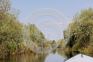 Biosphere of the Danube Delta