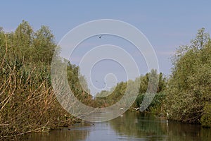 Biosphere of the Danube Delta