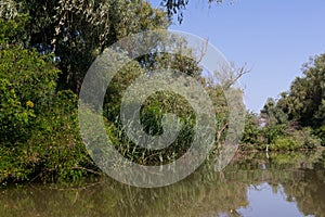 Biosphere of the Danube Delta