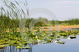 Biosphere of the Danube Delta