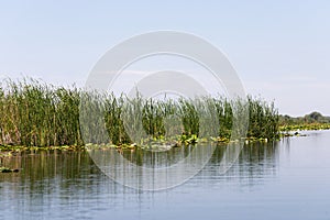 Biosphere of the Danube Delta