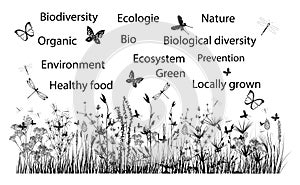 Biosphere environment, biodiversity, ecology theme illustration