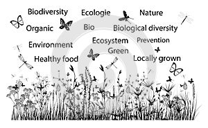 Biosphere environment, biodiversity, ecology theme illustration photo