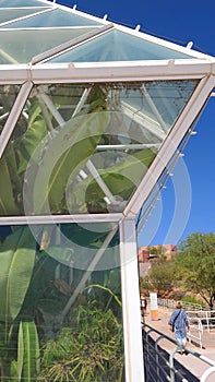 BioSphere 2 - Growing Fruit photo