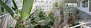 BioSphere 2 - Interior Vegetation photo