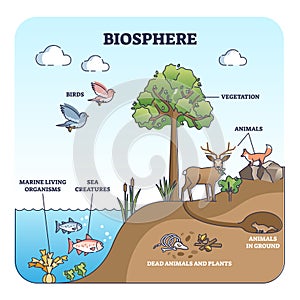 Biosphere and natural habitat division for living creatures outline diagram