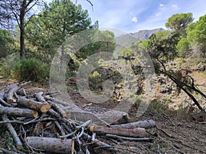 Biosphere reserve-Sierra de las NIEVES