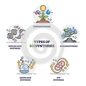 Biosynthesis types with enzyme catalyzed biochemical process outline diagram