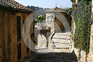 Biot