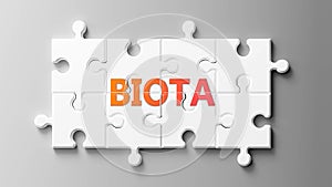 Biota complex like a puzzle - pictured as word Biota on a puzzle pieces to show that Biota can be difficult and needs cooperating