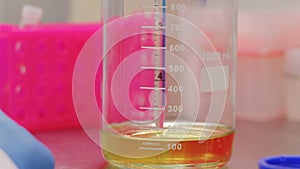 Biotechnologist takes a sample of yellow liquid from the glass flask for test closeup