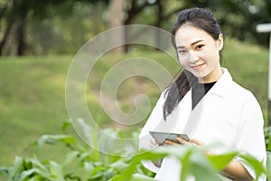 Biotechnology asian woman engineer examining plant leaf for disease, science and research concept