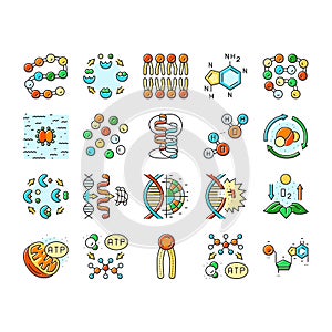 biotechnology chemistry science icons set vector