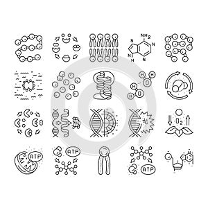 biotechnology chemistry science icons set vector