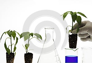 Biotechnology concept