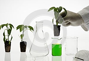 Biotechnology concept