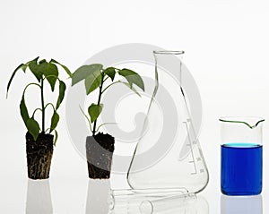 Biotechnology concept