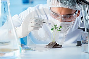 The biotechnology concept with scientist in lab photo