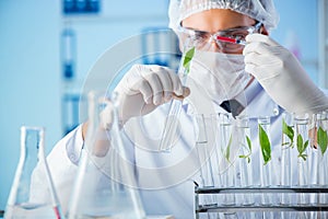 The biotechnology concept with scientist in lab