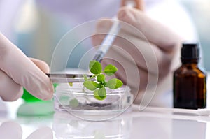 Biotechnology concept with scientist in lab