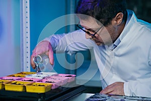 Biotechnology concept with scientist in lab. Scientist watering a plant with a special solution.