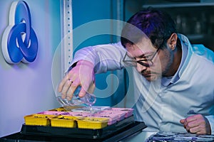 Biotechnology concept with scientist in lab. Scientist watering a plant with a special solution.