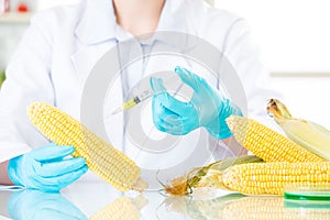 Biotechnology lab to develop genetic modification food