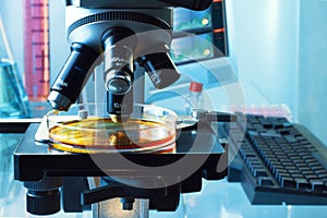 Biotechnology laboratory with a microscope analyzing a plate