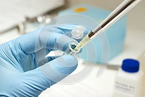 Biotechnology research photo