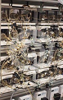 Biotechnology research lab