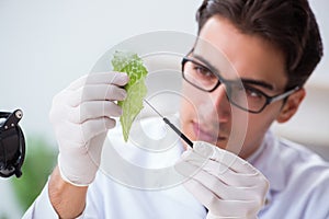 The biotechnology scientist chemist working in lab