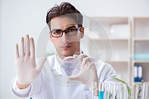 The biotechnology scientist chemist working in lab