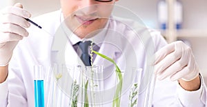 Biotechnology scientist chemist working in lab