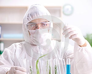 Biotechnology scientist chemist working in lab