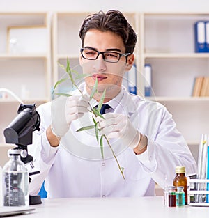 The biotechnology scientist chemist working in lab