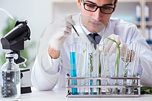 The biotechnology scientist chemist working in lab