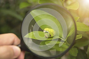 Biotechnology scientist with magnifying glass in hand